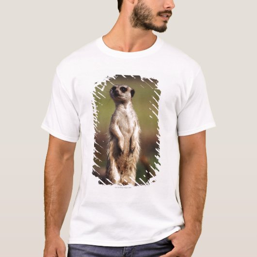 schlank-angebundenes meerkat T-Shirt (Vorderseite)