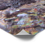 Schlanker-Gruppe am Riff Poster (Ecke)