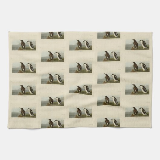 Schlanker Guillemot, Audubon Birds of America Geschirrtuch (Horizontal)