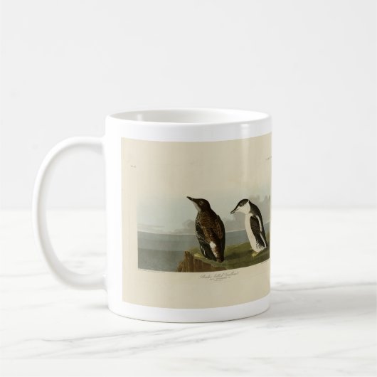 Schlanker Guillemot, Audubon Birds of America Kaffeetasse (Links)