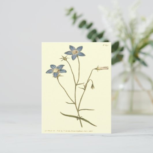 Schlankere Blautöne Postkarte (Stehend Vorderseite)