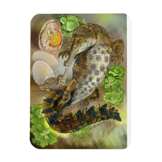 schlankes Krokodil Magnet (Vertikal)