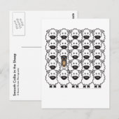 Schlaue Collie im Schafe Postkarte (Vorne/Hinten)