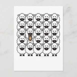 Schlaue Collie im Schafe Postkarte
