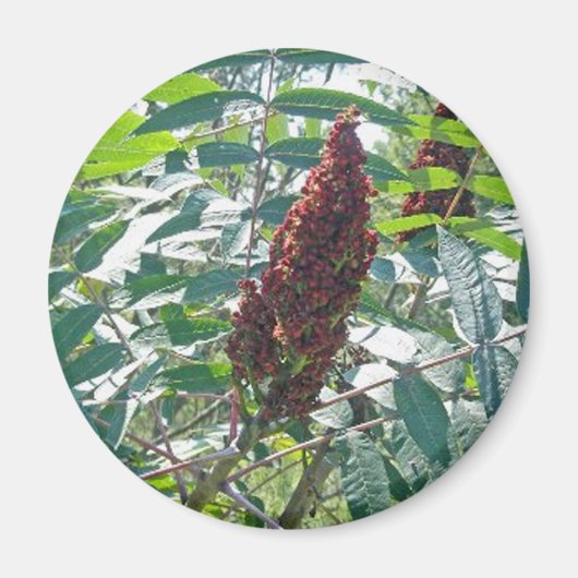 Schlaue Sumac Berries Matching Items Magnet (Vorne)
