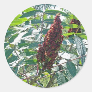 Schlaue Sumac Berries Matching Items Runder Aufkleber