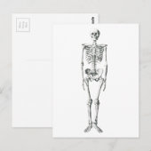 Schlecht am Knochen Postkarte (Vorne/Hinten)