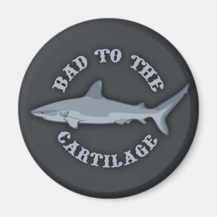 Schlecht am Knorpel Magnet