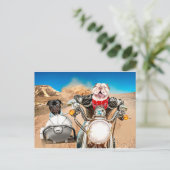 Schlecht vor dem Knochen Postkarte (Stehend Vorderseite)