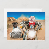 Schlecht vor dem Knochen Postkarte (Vorne/Hinten)