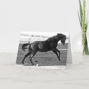 Schlechte Einstellung Karte