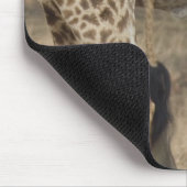 Schlechte Ernte von zwei Giraffen (Giraffa) Mousepad (Ecke)