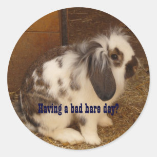 Schlechte Hare Day Stickers
