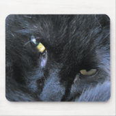 Schlechte Katze Mousepad (Vorne)