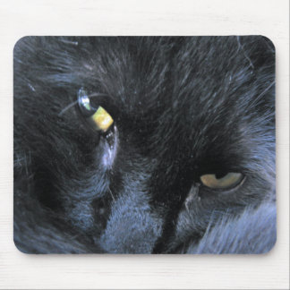 Schlechte Katze Mousepad