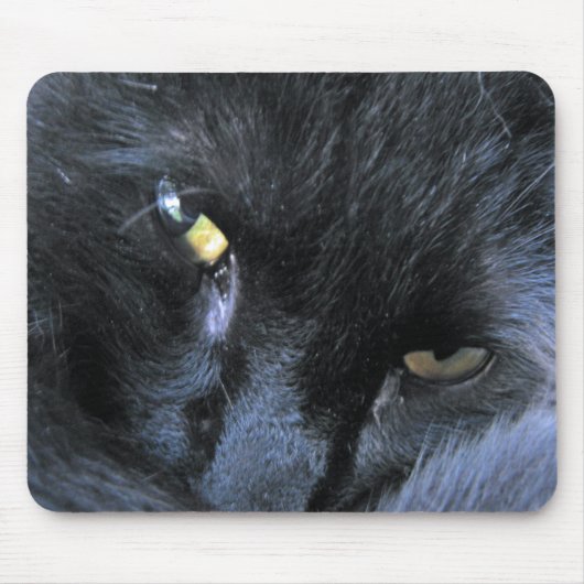 Schlechte Katze Mousepad (Vorne)