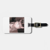 Schlechte Katze sagt fortfahren mit dem Rahmenplan Gepäckanhänger (Vorderseite horizontal)