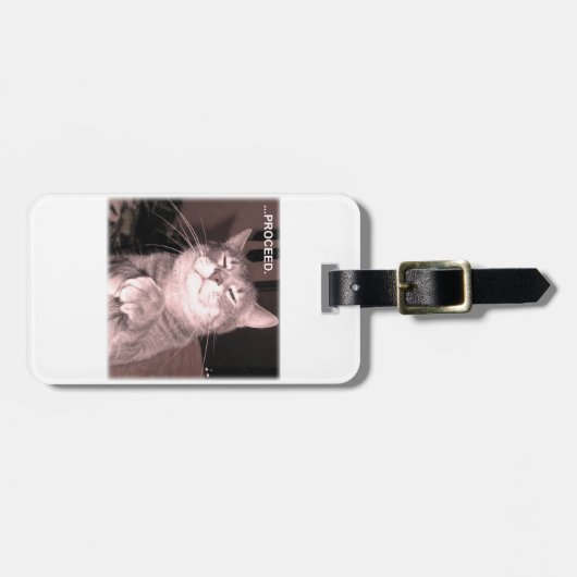 Schlechte Katze sagt fortfahren mit dem Rahmenplan Gepäckanhänger (Vorderseite horizontal)