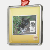 schlechte Sachen Silbernes Ornament (Links)