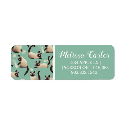 Schlechte siamesische Katzen klopfen über (Vorne)