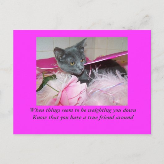 schlechte Tageskarte. Postkarte (Vorderseite)