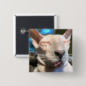 Schlechter Eis-Würfel Button (Vorne & Hinten)