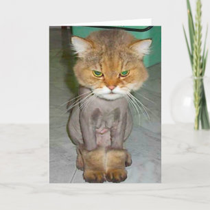 schlechter Geburtstag Karte