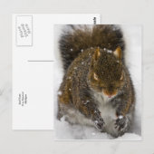 Schlechter Geschmack Postkarte (Vorne/Hinten)