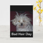 Schlechter Haar-Tag - Hunde-und Leute-Spaß Karte (Gelbe Blume)