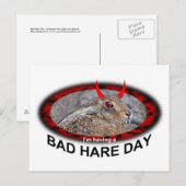 Schlechter Hasentag Postkarte (Vorne/Hinten)