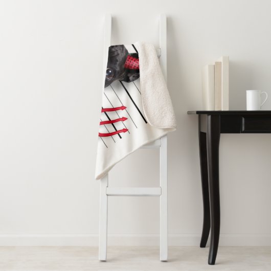 SCHLECHTER HUND SHERPADECKE (Beispiel)