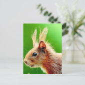 Schlechtes Haar-Eichel Postkarte (Stehend Vorderseite)