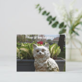 Schlechtes Lil ein mit Augen Kitty Postkarte (Stehend Vorderseite)