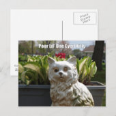 Schlechtes Lil ein mit Augen Kitty Postkarte (Vorne/Hinten)