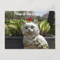 Schlechtes Lil ein mit Augen Kitty