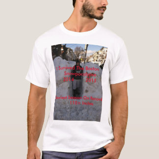 Schlechtester Schnee in Boston-T - Shirt