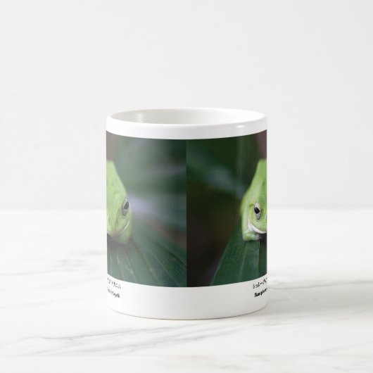 Schlegel's green tree frog kaffeetasse (Mittel)