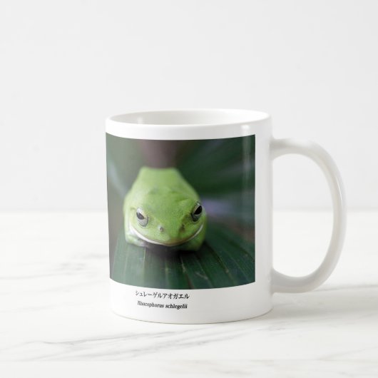 Schlegel's green tree frog kaffeetasse (Rechts)