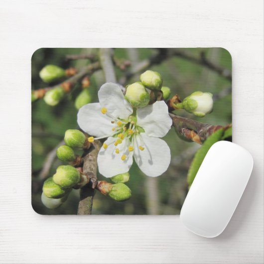 Schlehdorn Mousepad (Mit Mouse)