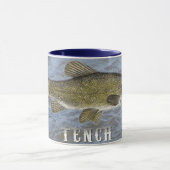 Schleie-Frischwasserfische, mit Wasser-Hintergrund Tasse (Zentrum)