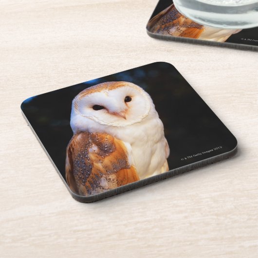 Schleiereule 2 getränkeuntersetzer (Linke Seite)