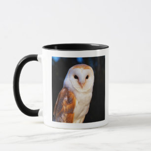Schleiereule 2 tasse