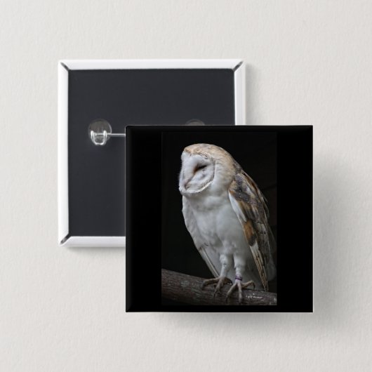 Schleiereule Button (Vorne & Hinten)