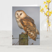 Schleiereule etwas gekräuselt karte (Gelbe Blume)