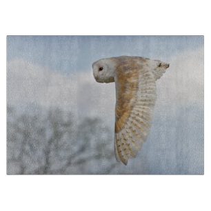 Schleiereule im Flug Rechteck Schneidbrett Schneidebrett