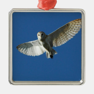 Schleiereule im Tagesflug Ornament Aus Metall