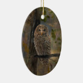 Schleiereule Keramik Ornament (Rechts)