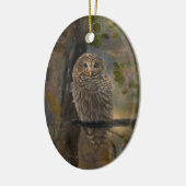 Schleiereule Keramik Ornament (Links)