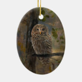 Schleiereule Keramik Ornament (Hinten)