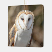 Schleiereule Keramikornament (Links)